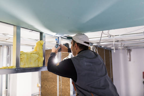 Best Insulation Repair Services  in Wahese, NC