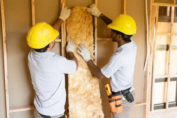 Best Garage Insulation Installation  in Wahese, NC