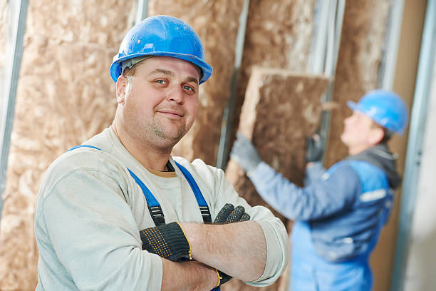 Best Insulation Contractors for Homes  in Wahese, NC