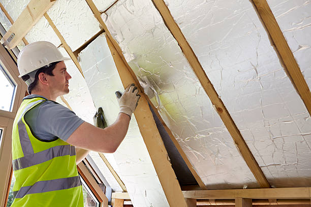 Best Crawl Space Insulation  in Wahese, NC