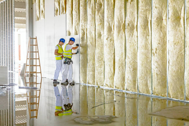 Insulation Inspection Services in Wanchese, NC